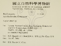 登錄號:F0030861藏品圖，第2張