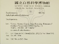 登錄號:F0030862藏品圖，第2張