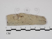 登錄號:F0030862藏品圖，第1張