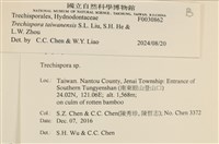 登錄號:F0030862藏品圖，第3張