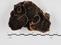 登錄號:F0030865藏品圖，第3張