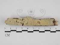 登錄號:F0030866藏品圖，第1張