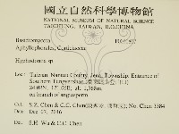 絲齒菌屬藏品圖，第2張