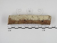 登錄號:F0030871藏品圖，第1張