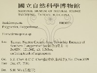 登錄號:F0030874藏品圖，第2張