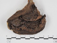 登錄號:F0030874藏品圖，第3張