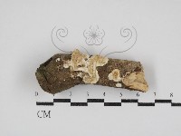 登錄號:F0030875藏品圖，第1張