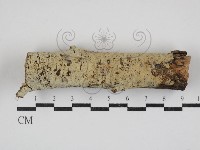 登錄號:F0030876藏品圖，第1張
