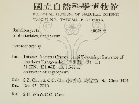 刺皮菌屬藏品圖，第2張