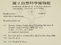 登錄號:F0030879藏品圖，第2張