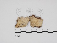登錄號:F0030879藏品圖，第1張