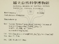 刺皮菌屬藏品圖，第2張