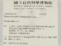 刺革菌屬藏品圖，第2張