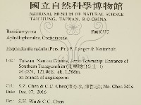 登錄號:F0030882藏品圖，第2張