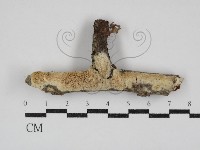 登錄號:F0030882藏品圖，第1張