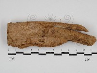 登錄號:F0030889藏品圖，第1張