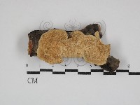 登錄號:F0030890藏品圖，第1張