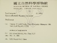 木層孔菌屬藏品圖，第2張