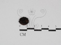 登錄號:F0030893藏品圖，第3張