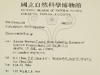 登錄號:F0030895藏品圖，第2張