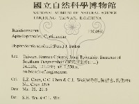 冇骨消絲齒菌藏品圖，第2張