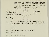 紅菇屬藏品圖，第2張