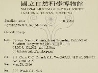 靈芝屬藏品圖，第2張