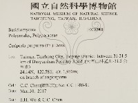 登錄號:F0030901藏品圖，第2張