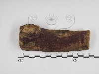 登錄號:F0030901藏品圖，第1張