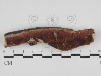 登錄號:F0030902藏品圖，第1張