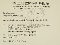 白邊黃孔菌藏品圖，第2張