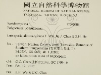 白邊黃孔菌藏品圖，第2張