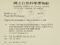 登錄號:F0030907藏品圖，第2張