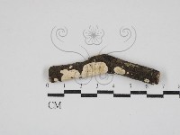登錄號:F0030908藏品圖，第3張