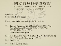 登錄號:F0030911藏品圖，第2張