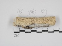 登錄號:F0030911藏品圖，第1張