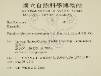 登錄號:F0030915藏品圖，第2張