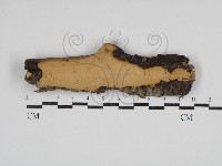 登錄號:F0030916藏品圖，第1張