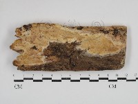 登錄號:F0030918藏品圖，第1張