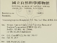 登錄號:F0030919藏品圖，第2張