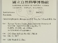 登錄號:F0030920藏品圖，第2張