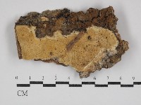 登錄號:F0030920藏品圖，第1張