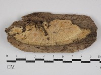 登錄號:F0030923藏品圖，第1張