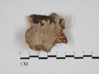 登錄號:F0030925藏品圖，第1張