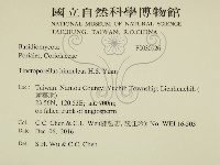 登錄號:F0030926藏品圖，第2張