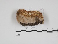 登錄號:F0030926藏品圖，第1張