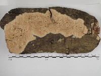 登錄號:F0030927藏品圖，第1張