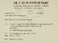 登錄號:F0030933藏品圖，第2張