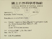 登錄號:F0030934藏品圖，第2張