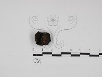 登錄號:F0030934藏品圖，第1張